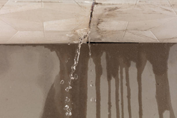 Professional Water Damage Inspection technician working in Lowell, MI